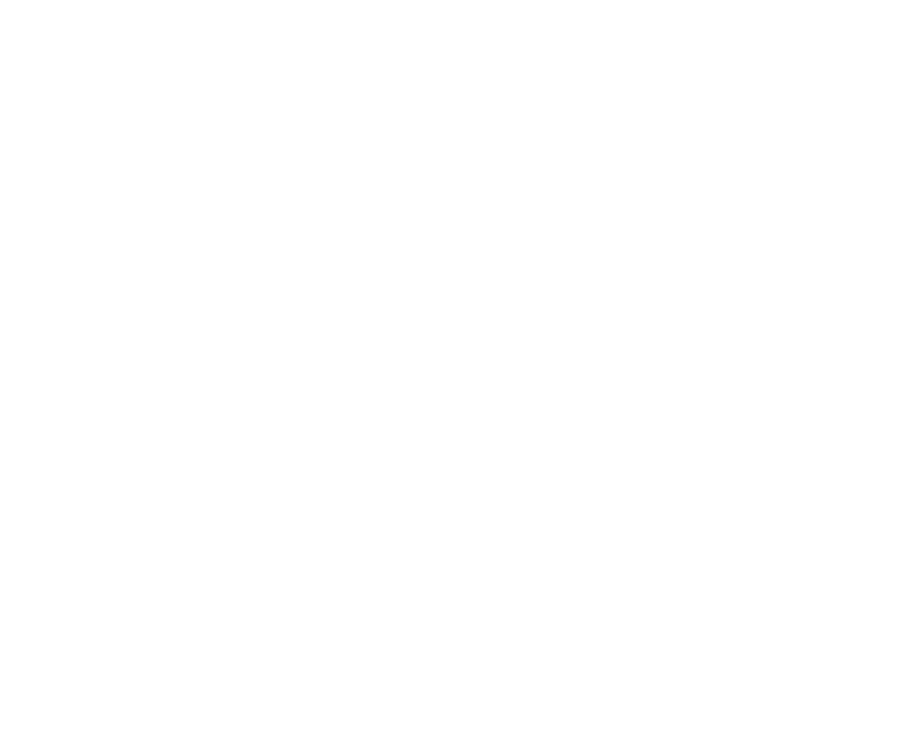 Orbit City eBikes