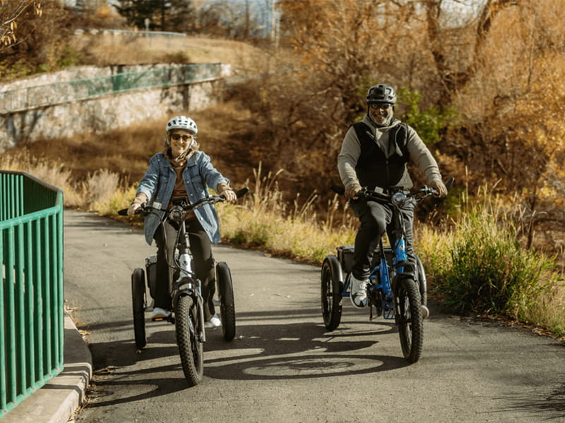 Velotric Triker Electric Tricycle - Image 10
