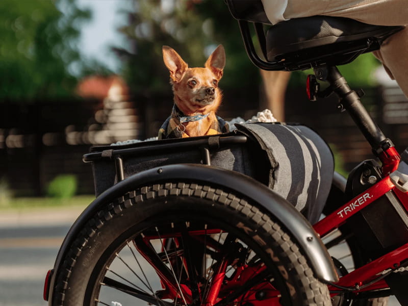 Velotric Triker Electric Tricycle - Image 11