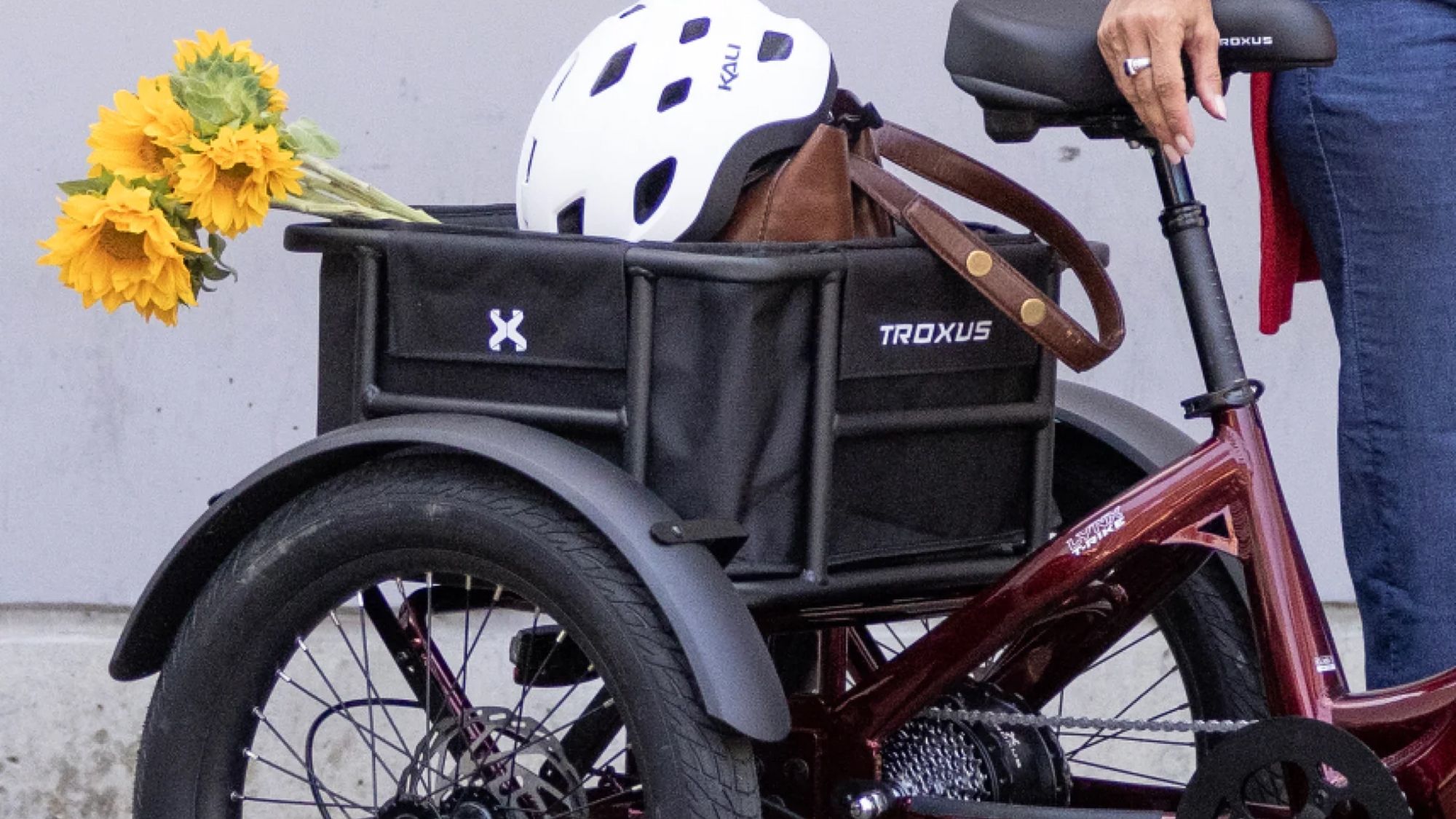 Troxus Lynx T-Rike iQ - Image 13